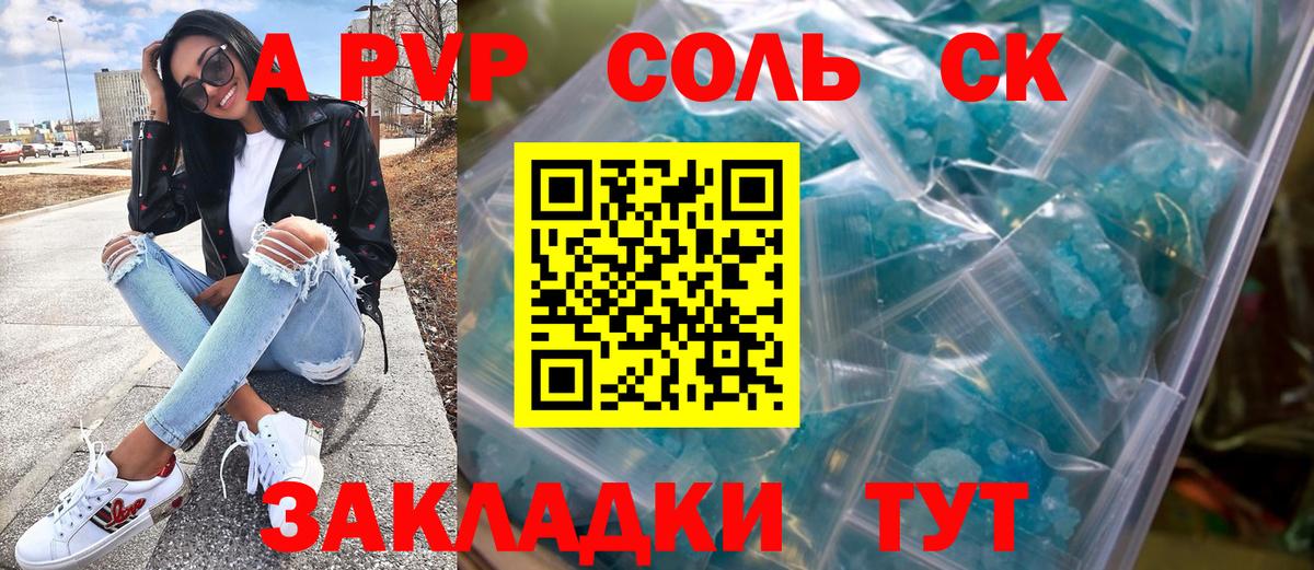 Alfa_PVP СК КРИС Геленджик