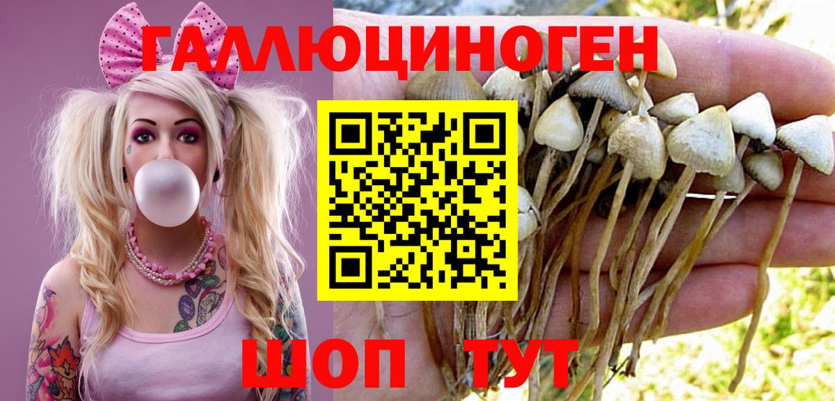 Галлюциногенные грибы мухоморы  Галлюциногенные грибы Cubensis  Вход с VPN  Геленджик 